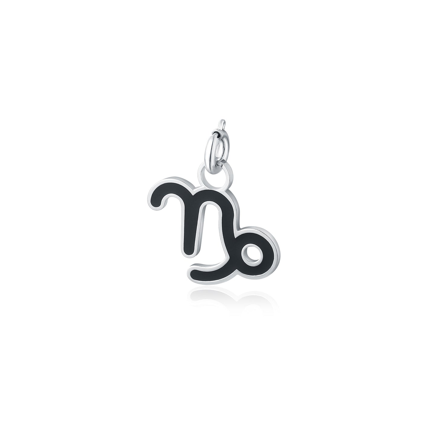 Charm Capricorno Acciaio