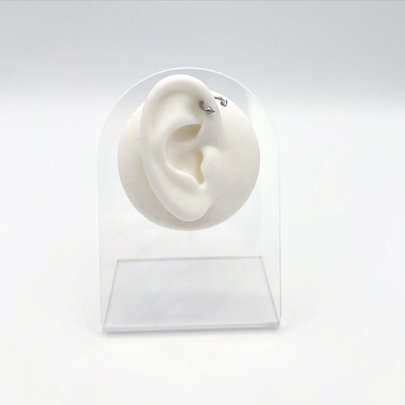 Piercing Circular Barbell Coni