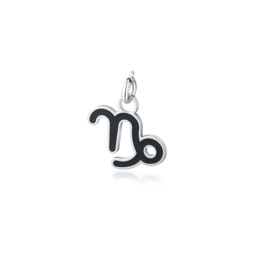 Charm Capricorno Acciaio